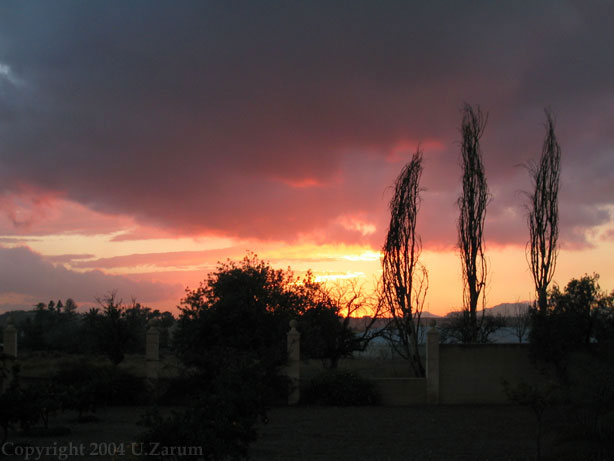 Photography by ZARUM-Artist Zarum his art music album and more-art-artists-paintings-artworks-songs-sculptures-photos-canadian-netherlands-spain