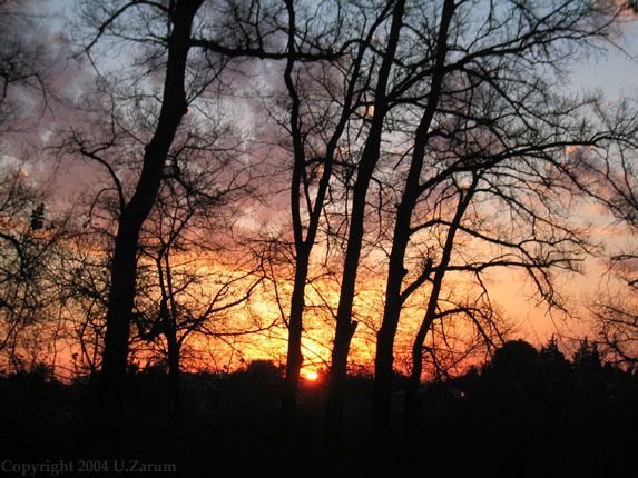 Photography by ZARUM-Artist Zarum his art music album and more-art-artists-paintings-artworks-songs-sculptures-photos-canadian-netherlands-spain