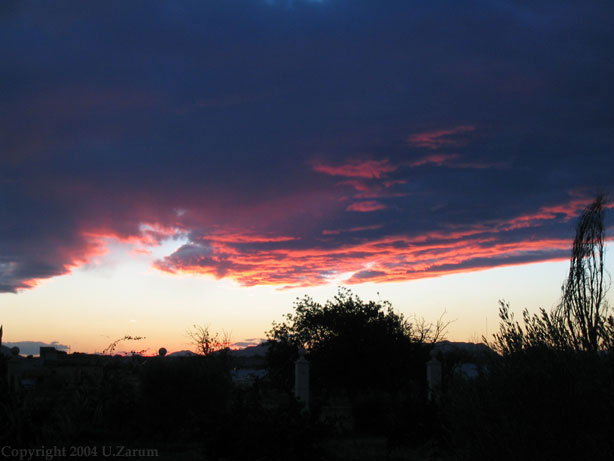 Photography by ZARUM-Artist Zarum his art music album and more-art-artists-paintings-artworks-songs-sculptures-photos-canadian-netherlands-spain