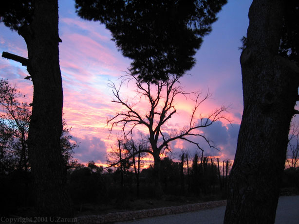 Photography by ZARUM-Artist Zarum his art music album and more-art-artists-paintings-artworks-songs-sculptures-photos-canadian-netherlands-spain