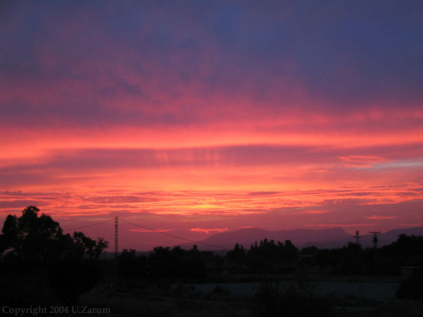 Photography by ZARUM-Artist Zarum his art music album and more-art-artists-paintings-artworks-songs-sculptures-photos-canadian-netherlands-spain