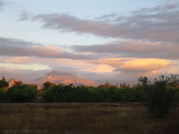 Photography by ZARUM-Artist Zarum his art music album and more-art-artists-paintings-artworks-songs-sculptures-photos-canadian-netherlands-spain