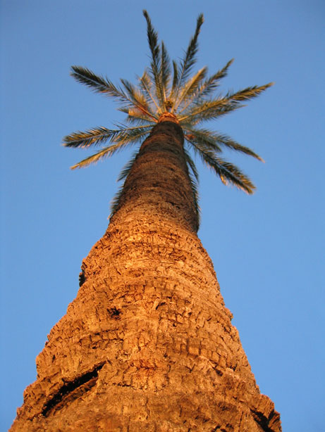 Photography by ZARUM-Artist Zarum his art music album and more-art-artists-paintings-artworks-songs-sculptures-photos-canadian-netherlands-spain