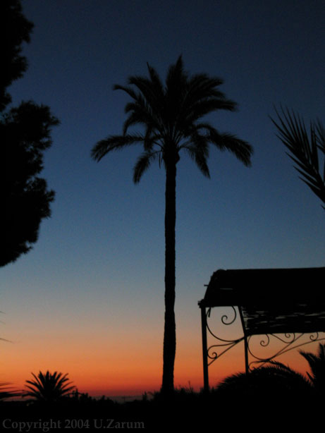 Photography by ZARUM-Artist Zarum his art music album and more-art-artists-paintings-artworks-songs-sculptures-photos-canadian-netherlands-spain