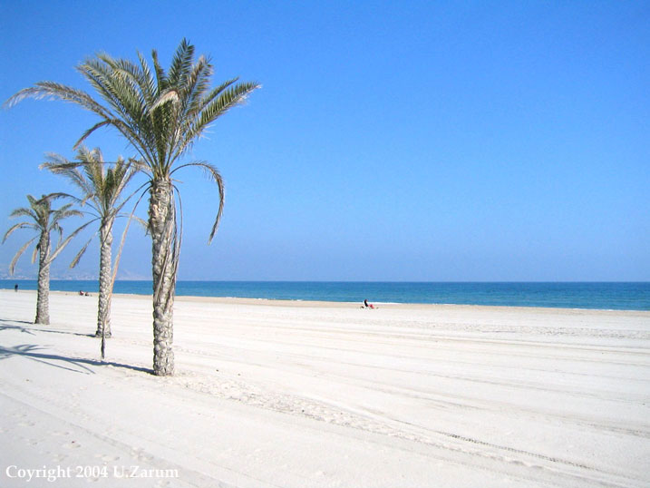 Photography by ZARUM-Artist Zarum his art music album and more-art-artists-paintings-artworks-songs-sculptures-photos-canadian-netherlands-spain