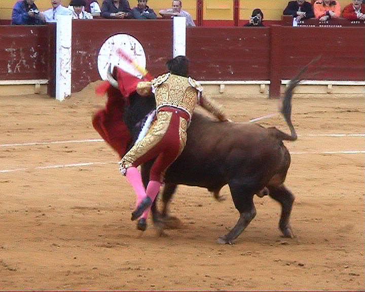 Photography by ZARUM-Artist Zarum his art music album and more-art-artists-paintings-artworks-songs-sculptures-photos-canadian-netherlands-spain