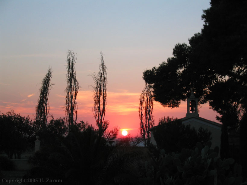 Photography by ZARUM-Artist Zarum his art music album and more-art-artists-paintings-artworks-songs-sculptures-photos-canadian-netherlands-spain