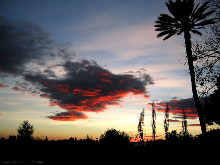 Photography by ZARUM-Artist Zarum his art music album and more-art-artists-paintings-artworks-songs-sculptures-photos-canadian-netherlands-spain